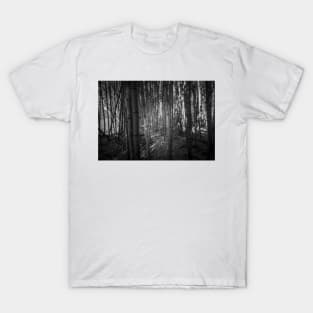 Come to the Bamboo Forest T-Shirt